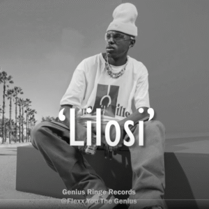[FREE] Daliwonga x Musa Keys x Young Stunna Type Beat – "Lilosi" | Smooth Amapiano 2025