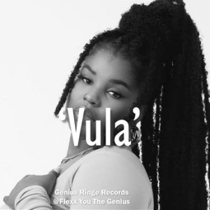 [FREE] Boohle x Nkosazana Daughter x DJ Maphorisa Type Beat – "Vula" | Dreamy Amapiano 2025